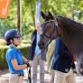 Federica Sileoni: From The Thrill of Eventing To Dressage under the Paralympic Rings