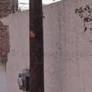 Buscan autoridades a Fernando 'N' por el presunto feminicidio de su novia en El Potrerillo