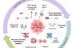 Breaking barriers: we need a multidisciplinary approach to tackle cancer drug resistance