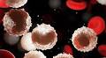 Adding Epigenetic Drug to Standard Chemotherapy Was Effective in Pilot Study for T-cell Lymphoma | Newsroom