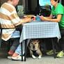 Dogs welcomed in 1,000 approved restaurants starting July 9