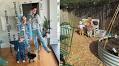 Inside Zoe Sugg and Alfie Deyes jaw-dropping £1,700,000 mansion with huge vegetable garden