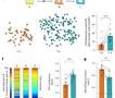 Compartmentalized dendritic plasticity in the mouse retrosplenial cortex links contextual memories formed close in time