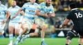 Los Pumas Rugby Championship Squad Announced