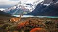 Mindful Travel: 5 Of The World’s Most Peaceful Destinations