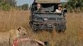 Dereck and Beverly Joubert: Documenting Africa’s big cats through the decades