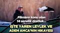 Yaren Leylek ve Adem Amca’nın hikayesi: Filmlere konu olan yılların dostluğu... 14'üncü kez buluştular! Balıkçı Adem ve Yaren Leylek nerede, hikayesi nedir?