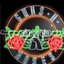 Guns N' Roses