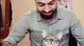 These Rescue Cats Cradled by a Pianist as He Plays Are Living the Dream