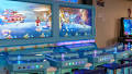 Business owners, law enforcement navigating the murky waters of skilled gaming