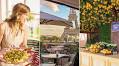 L’expérience italienne Limonaia Urbana débarque à Paris, entre ateliers culinaires, DIY et dégustations en terrasse