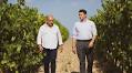 Vino: Alessandro Cellai nuovo direttore generale di Vallepicciola in Chianti Classico