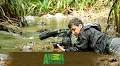 Animal Planet to premiere documentary film ‘The Secret Life of Frogs’ on amphibians of India