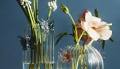 Anthropologie Pernille Rosenkilde Collection 2023: Shop Our Picks