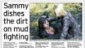 Sammy's fun in celebrity mudbath