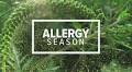 East Tennesseans brace for allergy season with tips from expert advice