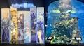 First look: Genshin Impact-themed experience at S'pore's S.E.A. Aquarium from Sep. 12 to Oct. 28, 2024