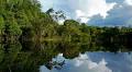 How Complementary Forest Finance Mechanisms Can Promote Tropical Forest Protection
