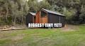The Ashleigh Modular Tiny House Is the Biggest, Fanciest You've Seen
