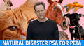 Dean Winters: Keep Animals Safe in Natural Disasters