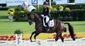 Watch Valegro smash the #canterchallenge at the age of 20