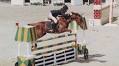 The Greatest Lessons Often Come from the Hardest Horses