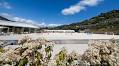 Liguria Jumping celebrates spectacular inauguration day with royal attendance and world-class equestrian display