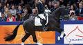 KWPN Stallion Kardieno Sold to Dressage Mala Skala