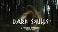 Silvermine Unveils “Dark Skulls”