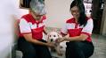 PSP’s Hazel Poa and Tony Tan Are Campaigning—For Office, and Each Other