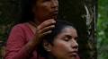 ‘Ayahuasca tourism’ is a blight on Indigenous peoples and our environment | Nina Gualinga and Eli Virkina
