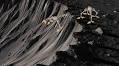 Modular robot design uses tethered jumping for planetary exploration
