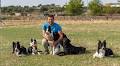 El adiestrador de perros, Daniel Illescas, de Villanueva de Córdoba estará en el Mundial de Obediencia Canina