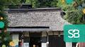 How Living Things and Rice Led Us to Sake Brewing