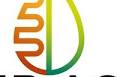 IBI Ag Completes $10 Million Series A Round Led by Corteva