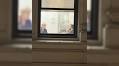 CEO Captures Mamdani, Elizabeth Warren In "Deep Debate" From Office Window