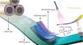 Reversible Sensing Technologies Using Upcycled TPEE: Crafting pH and Light Responsive Materials towards Sustainable Monitoring
