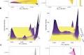 Genetic ancestry and population structure in the All of Us Research Program cohort