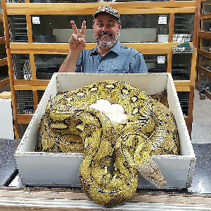 Top 100 Reptiles Influencers in 2025