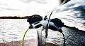 Powering the shift to electric