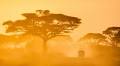 China-Africa Think Tank forum highlights alliance for key oil and gas projects