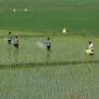 War in the Middle East Threatens Global Food Production