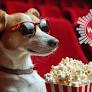 Things to do in Tampa Bay this weekend