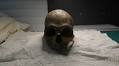 PNG to Russia and Sydney then back again. The return of Rai Coast skulls