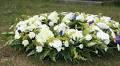 Death notices for Oct. 24 – Nov. 17