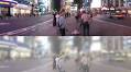 See The World Through The Eyes Of A Cat