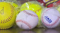 Kokomo’s New Baseball Team: Creek Chubs