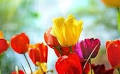 Anna Rose Hoskins Obituary - Visitation & Funeral Information
