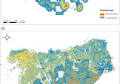 Prioritizing sites for terrestrial invasive alien plant management in urban ecosystems