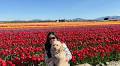 Faculty spotlight: Stephanie Kim